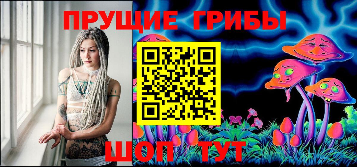Галлюциногенные грибы Psilocybe  Вход с VPN  Псилоцибиновые грибы прущие грибы  Ялта 